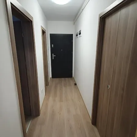 Apartament Cu O Camera Apartamento *